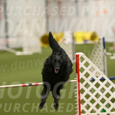 Oscar-Martha-Caldwell-04942