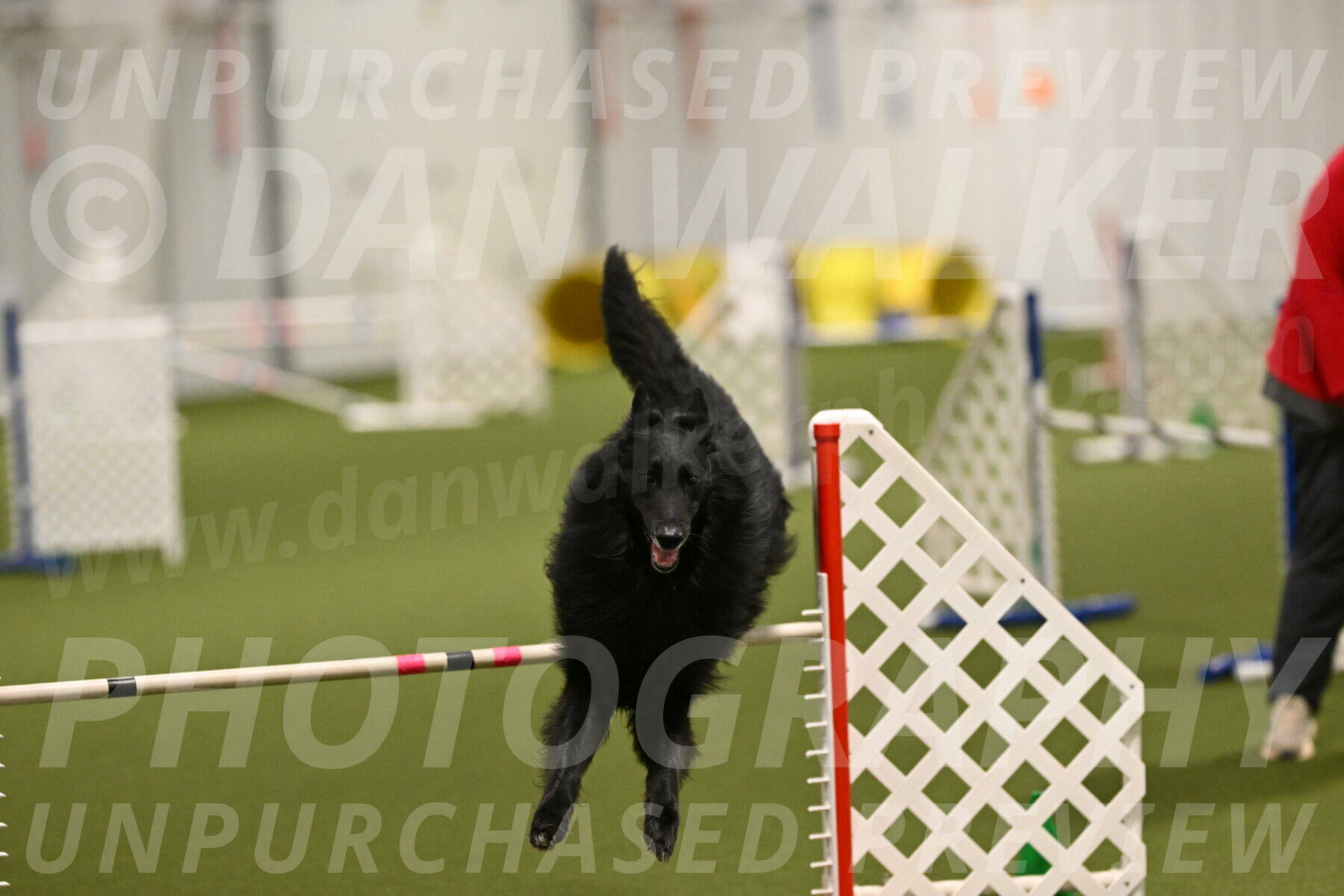 Oscar-Martha-Caldwell-04942