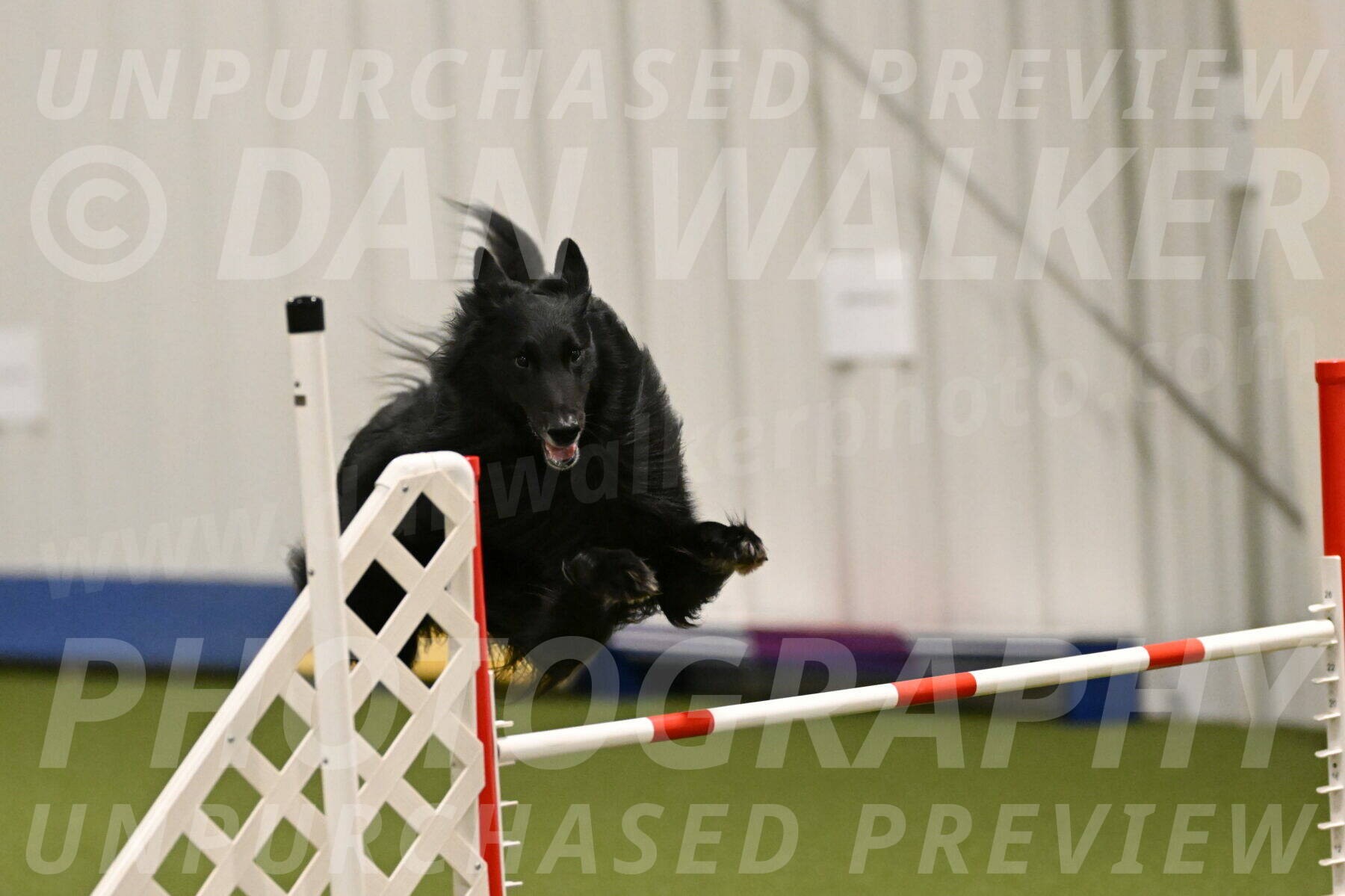 Oscar-Martha-Caldwell-04946