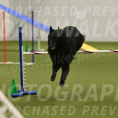 Oscar-Martha-Caldwell-04965