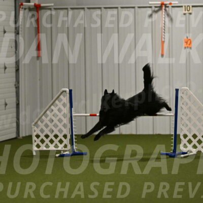 Oscar-Martha-Caldwell-04972