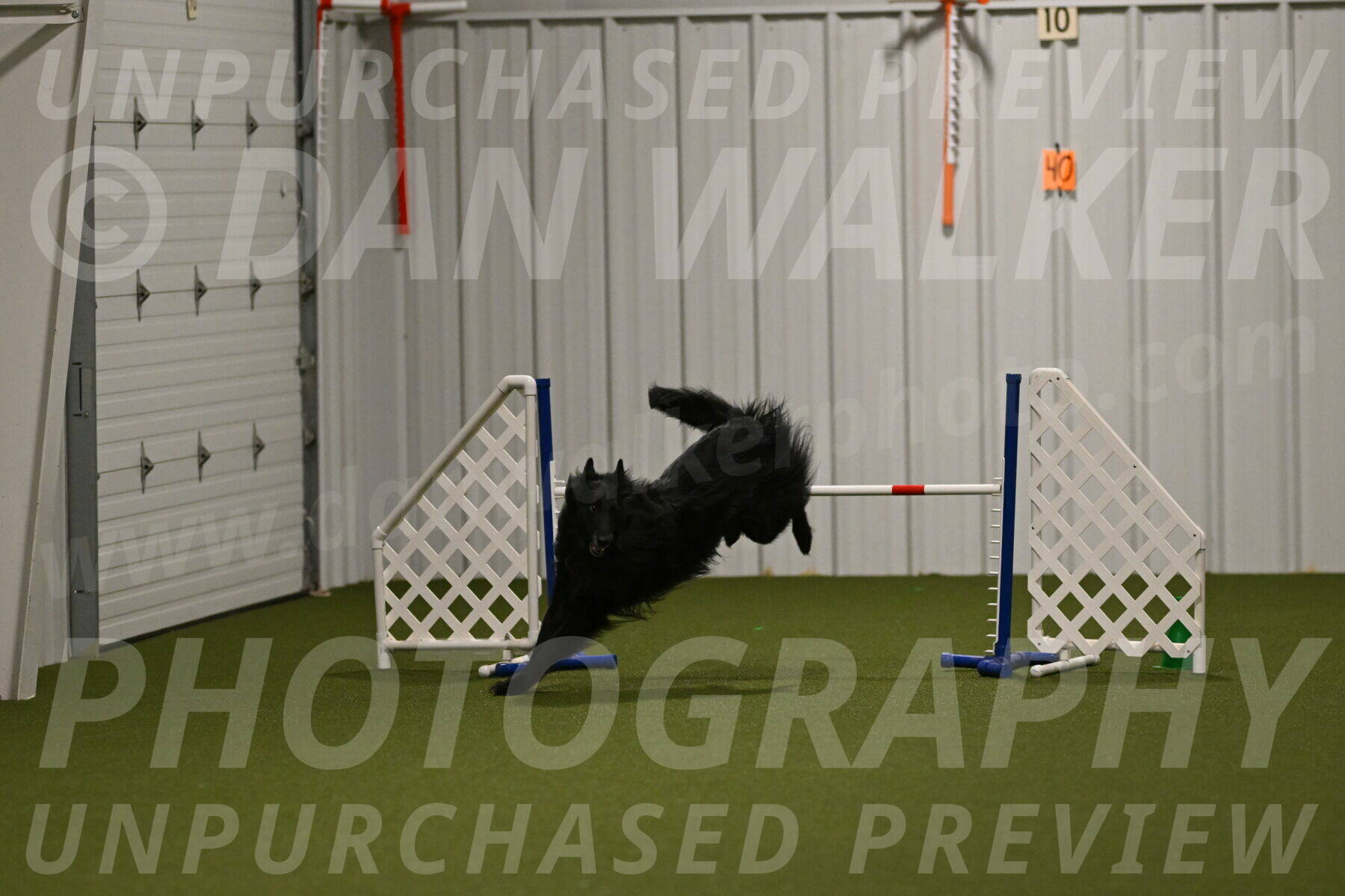Oscar-Martha-Caldwell-04974