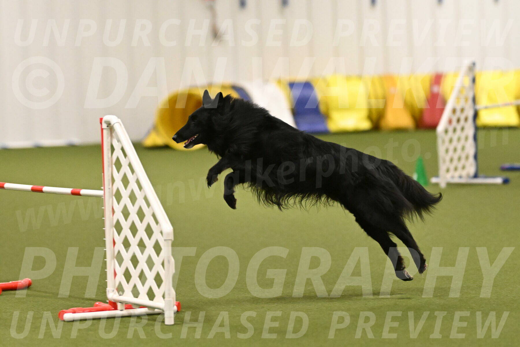 Oscar-Martha-Caldwell-04985
