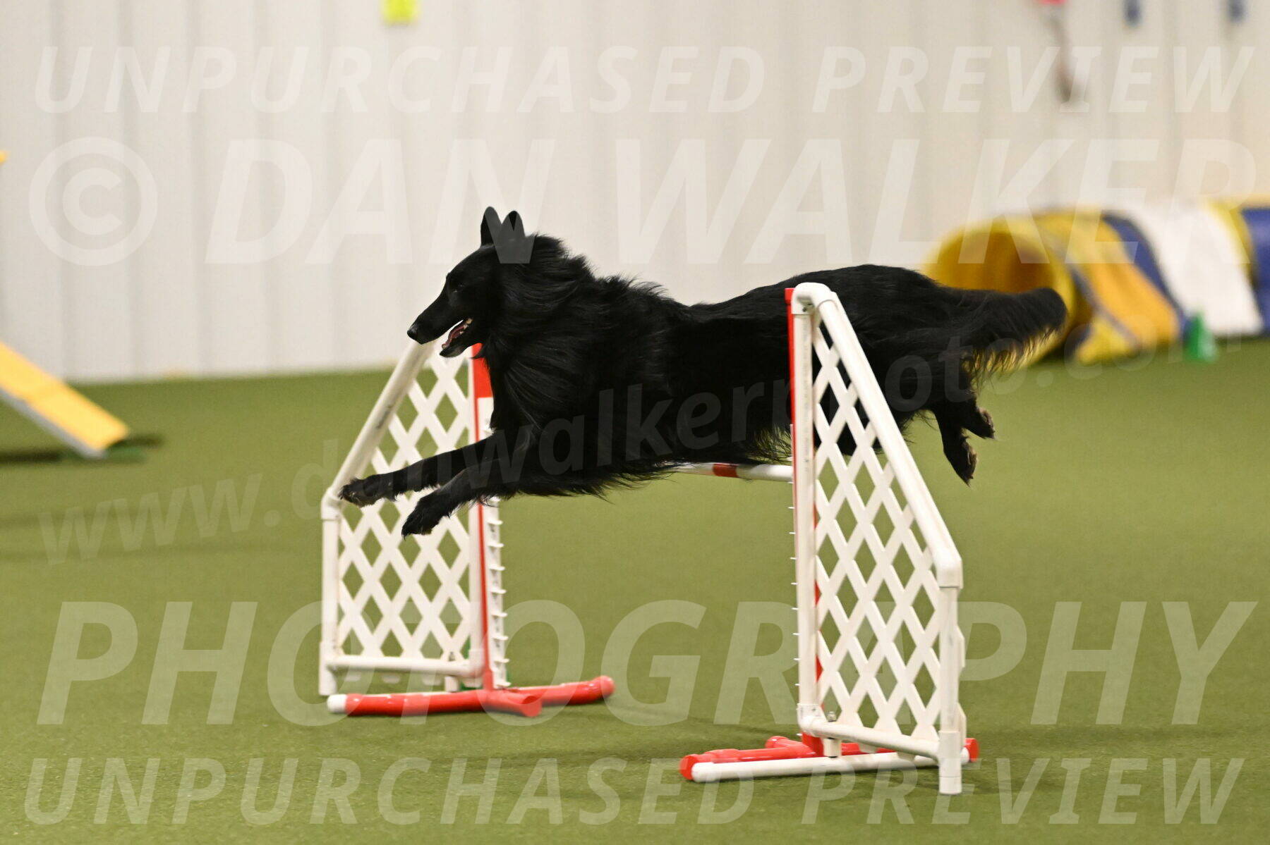 Oscar-Martha-Caldwell-04987