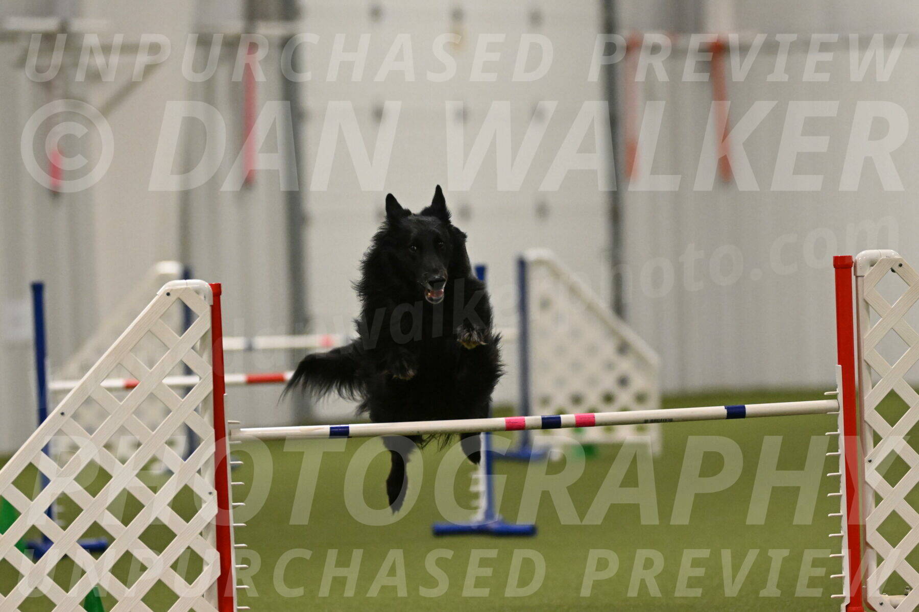 Oscar-Martha-Caldwell-05002