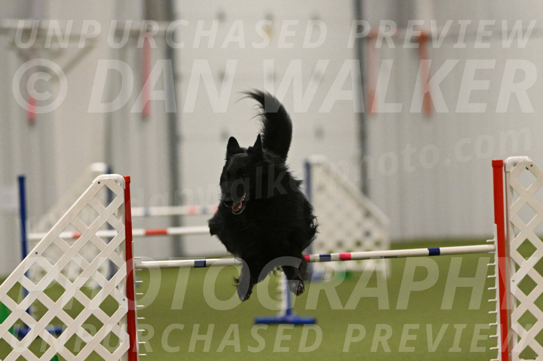 Oscar-Martha-Caldwell-05005