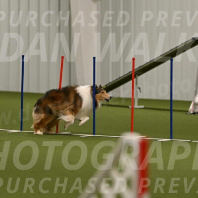 Punch-Carolynne-Rose-04398