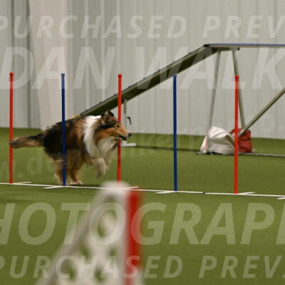 Punch-Carolynne-Rose-04399