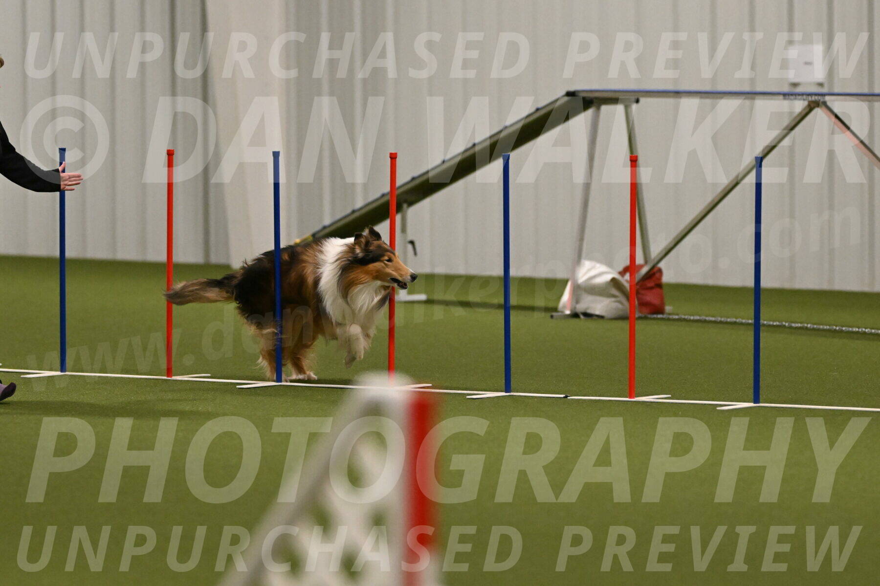 Punch-Carolynne-Rose-04399