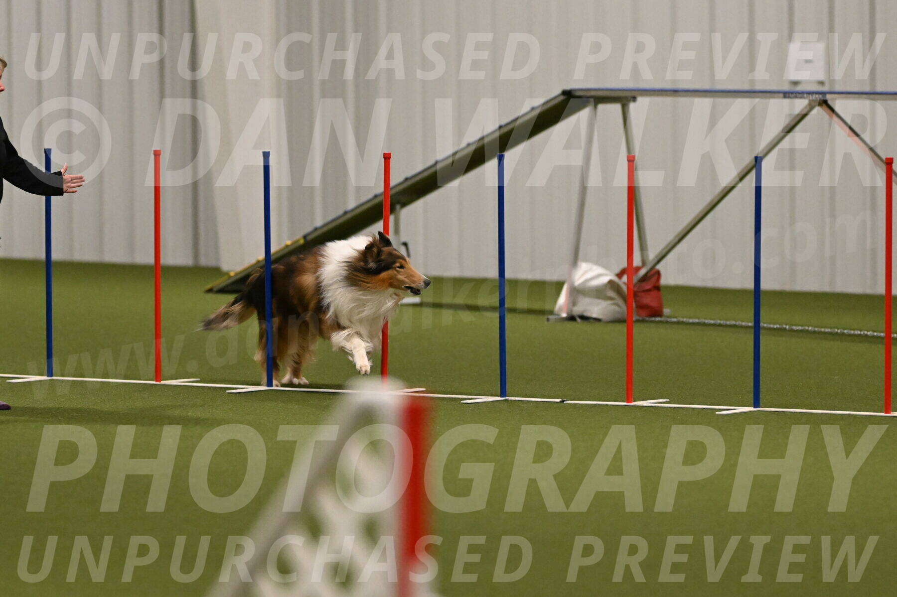 Punch-Carolynne-Rose-04400