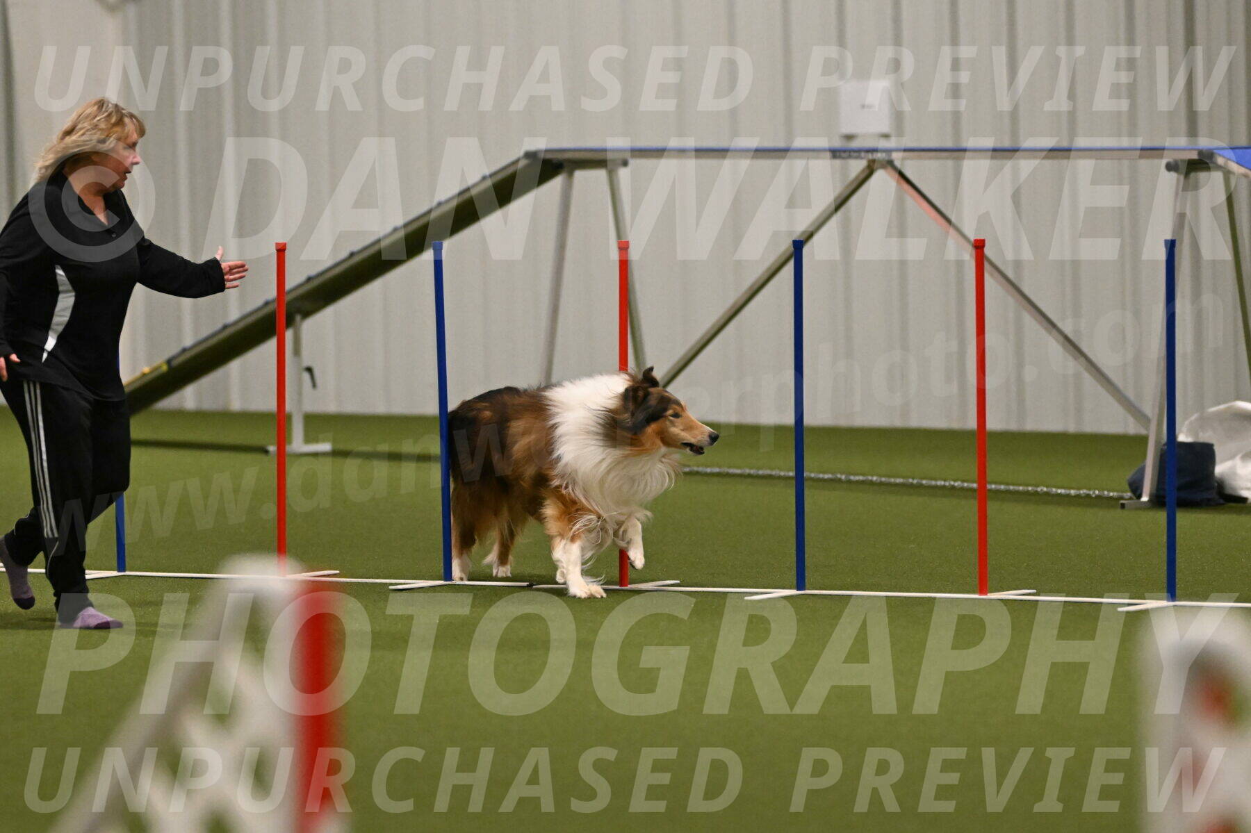 Punch-Carolynne-Rose-04401