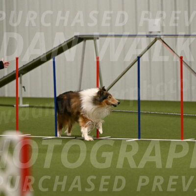 Punch-Carolynne-Rose-04401