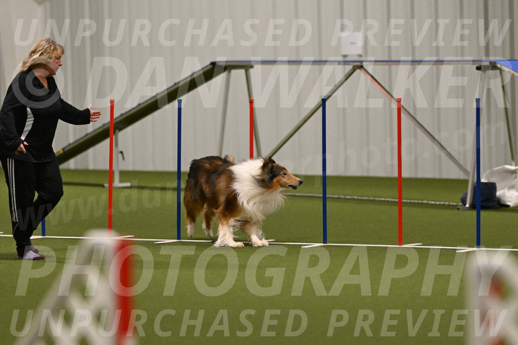 Punch-Carolynne-Rose-04402