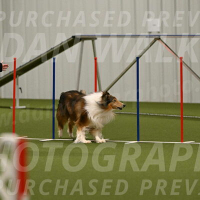 Punch-Carolynne-Rose-04402