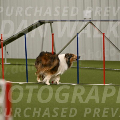 Punch-Carolynne-Rose-04403