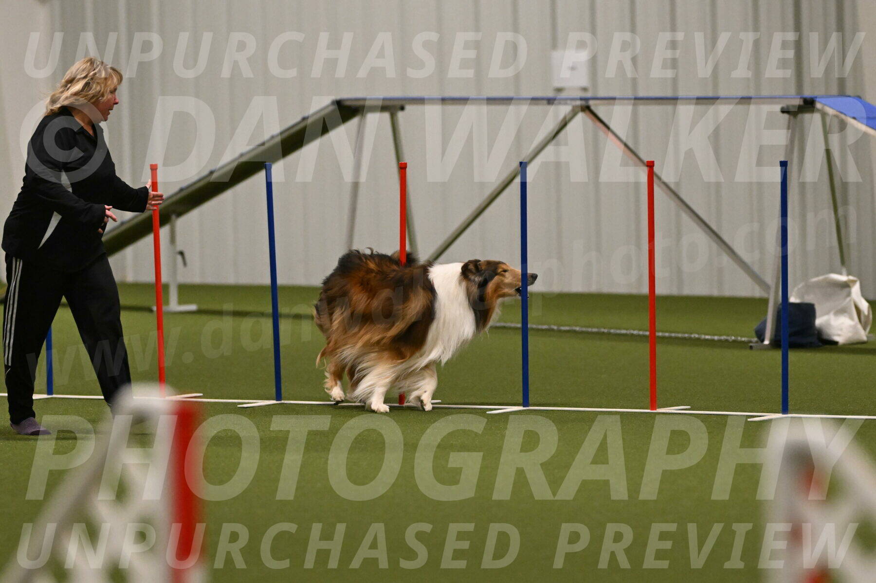 Punch-Carolynne-Rose-04403