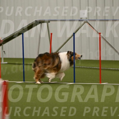 Punch-Carolynne-Rose-04404