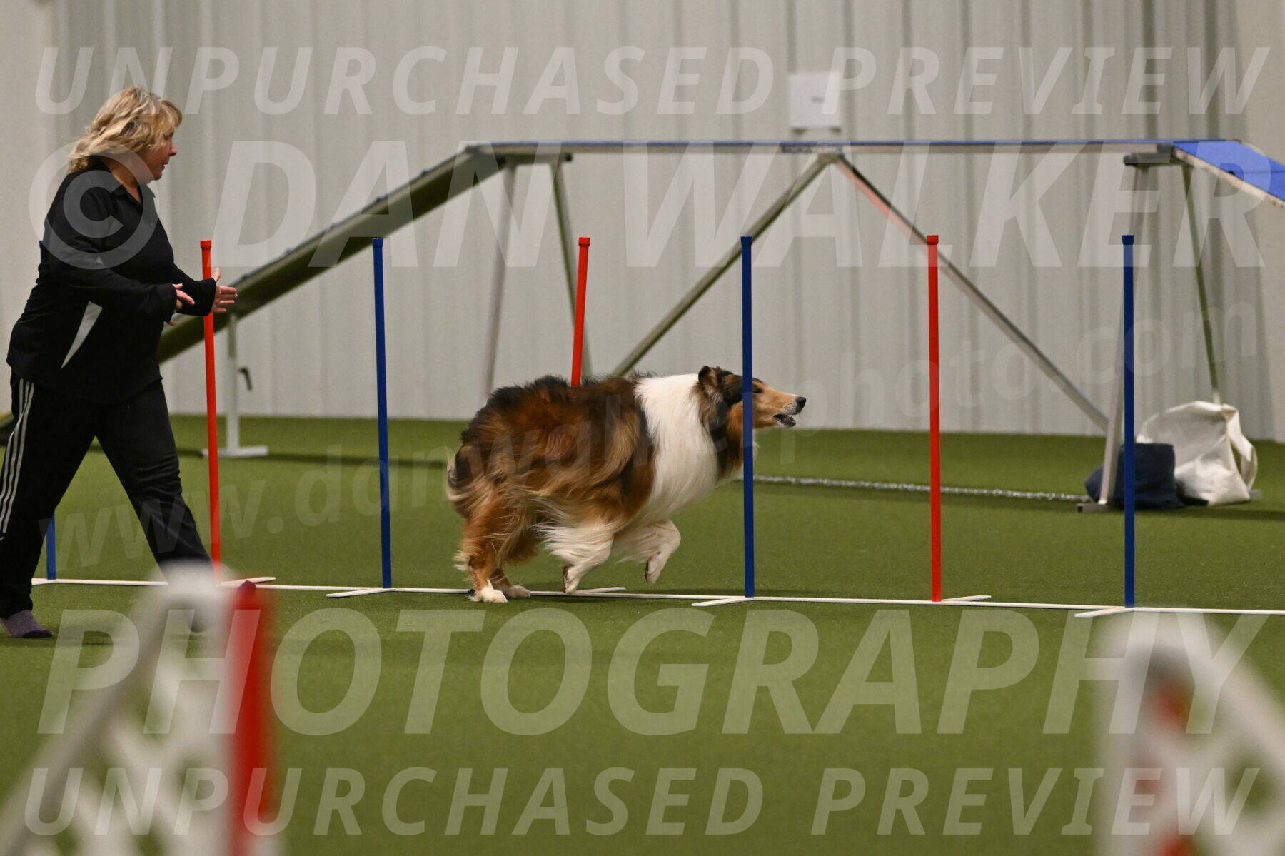 Punch-Carolynne-Rose-04404