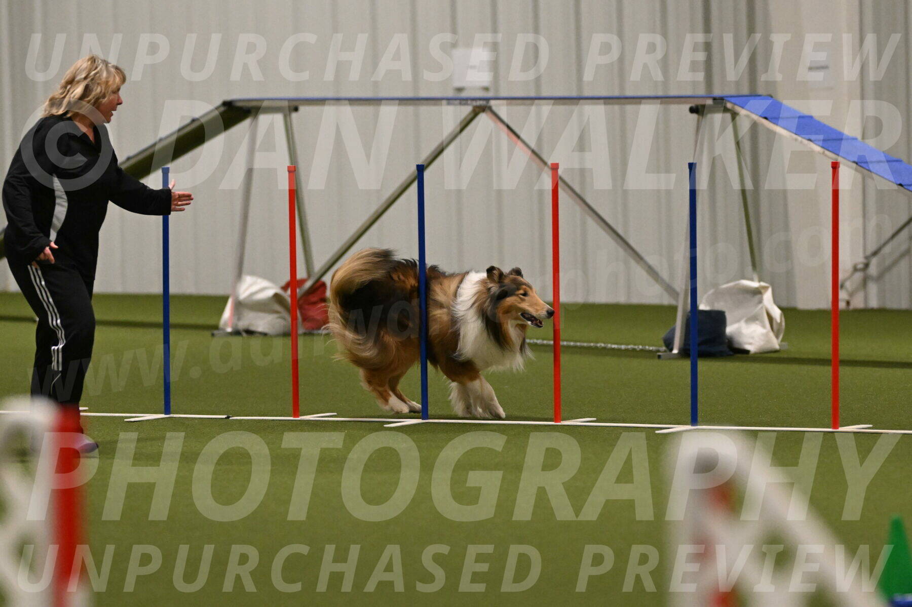 Punch-Carolynne-Rose-04405