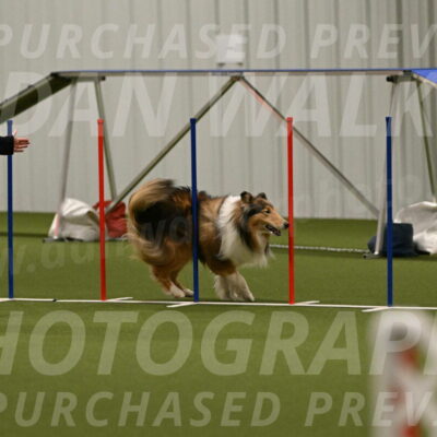 Punch-Carolynne-Rose-04405