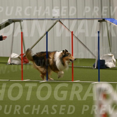 Punch-Carolynne-Rose-04406