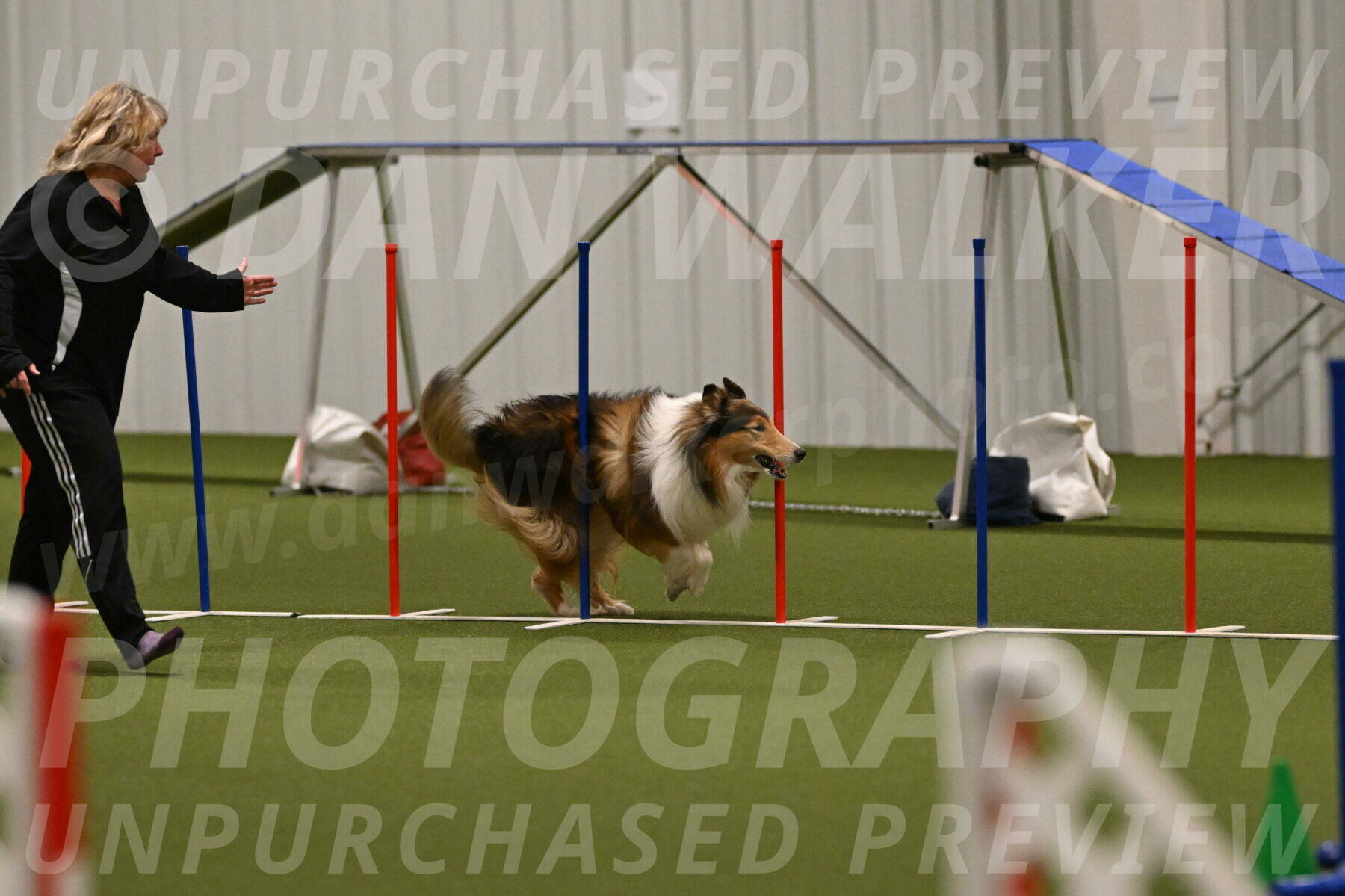 Punch-Carolynne-Rose-04406