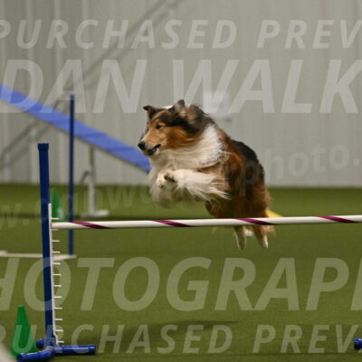 Punch-Carolynne-Rose-04407