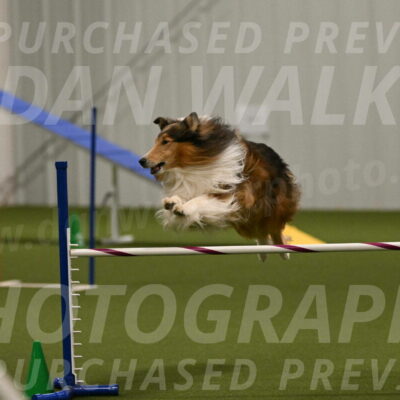 Punch-Carolynne-Rose-04408