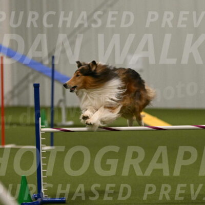 Punch-Carolynne-Rose-04409