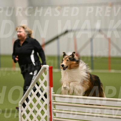 Punch-Carolynne-Rose-04410