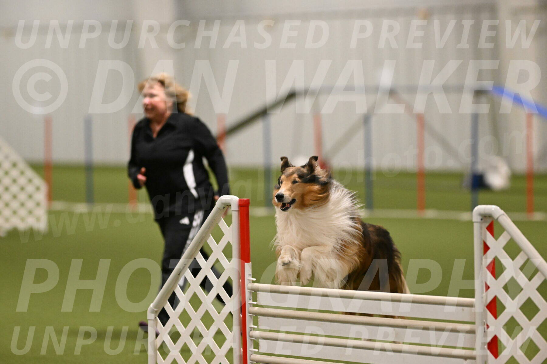 Punch-Carolynne-Rose-04410