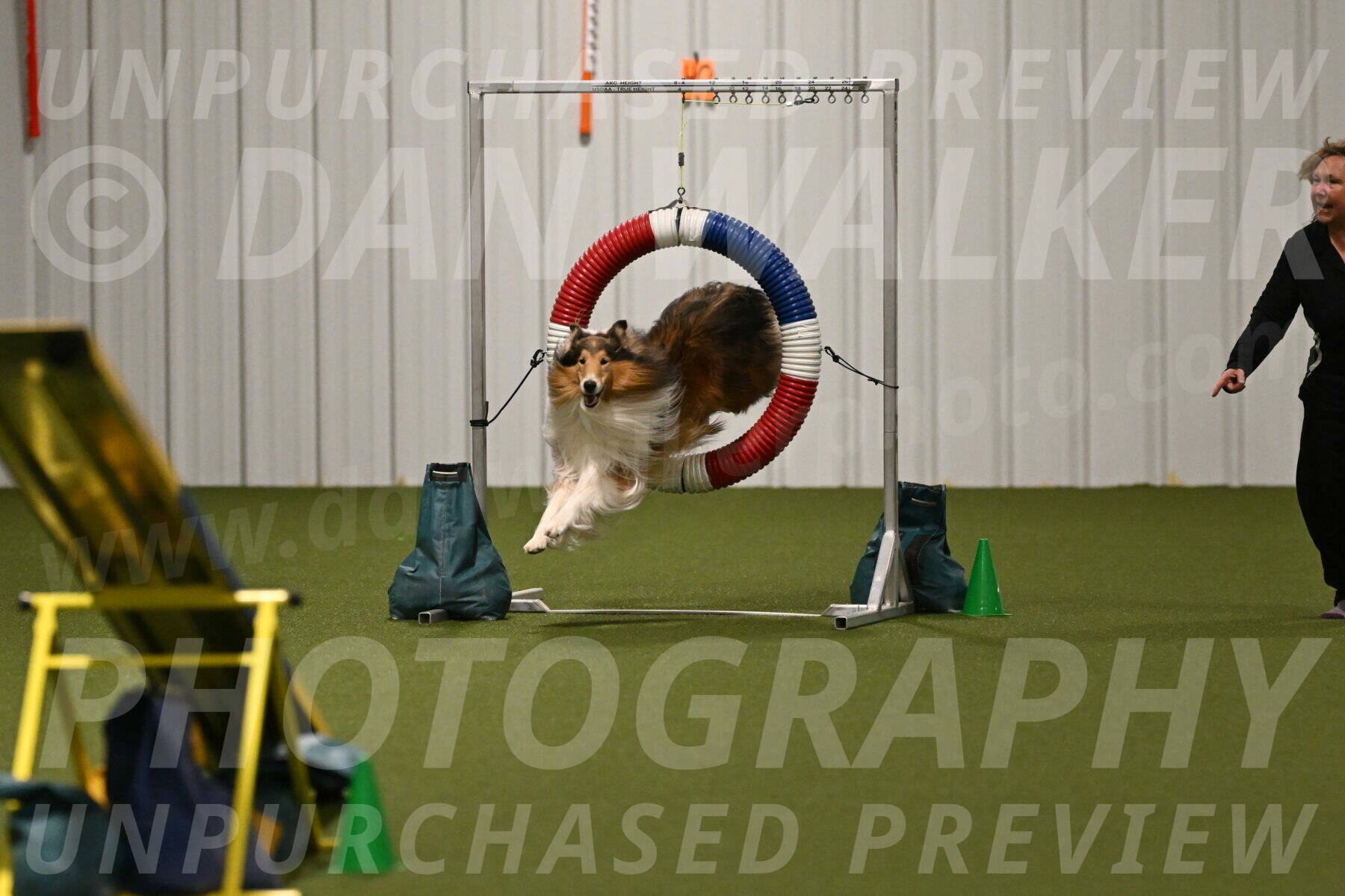 Punch-Carolynne-Rose-04411