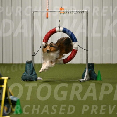 Punch-Carolynne-Rose-04411