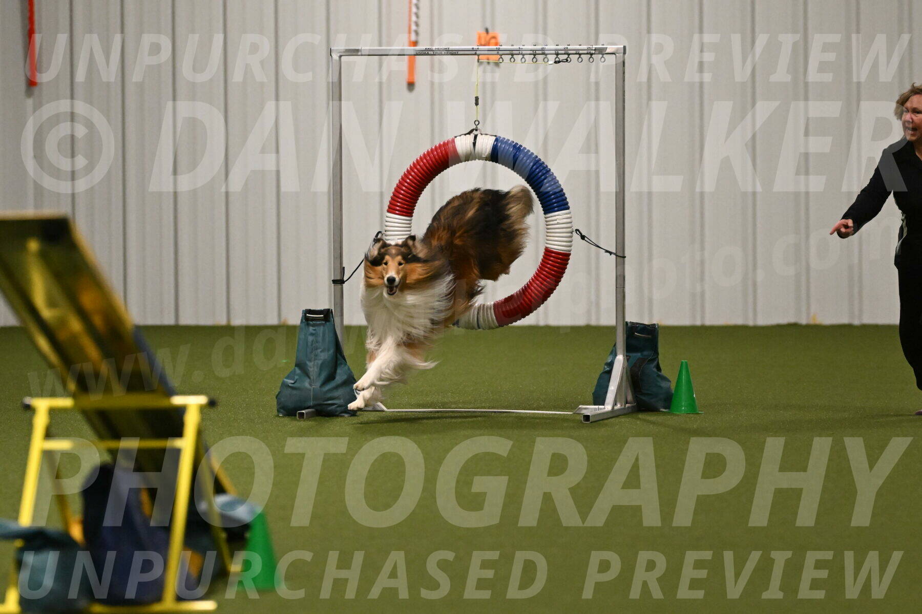 Punch-Carolynne-Rose-04412