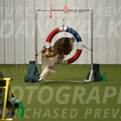 Punch-Carolynne-Rose-04412