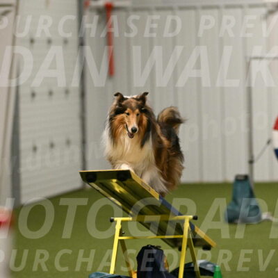 Punch-Carolynne-Rose-04413