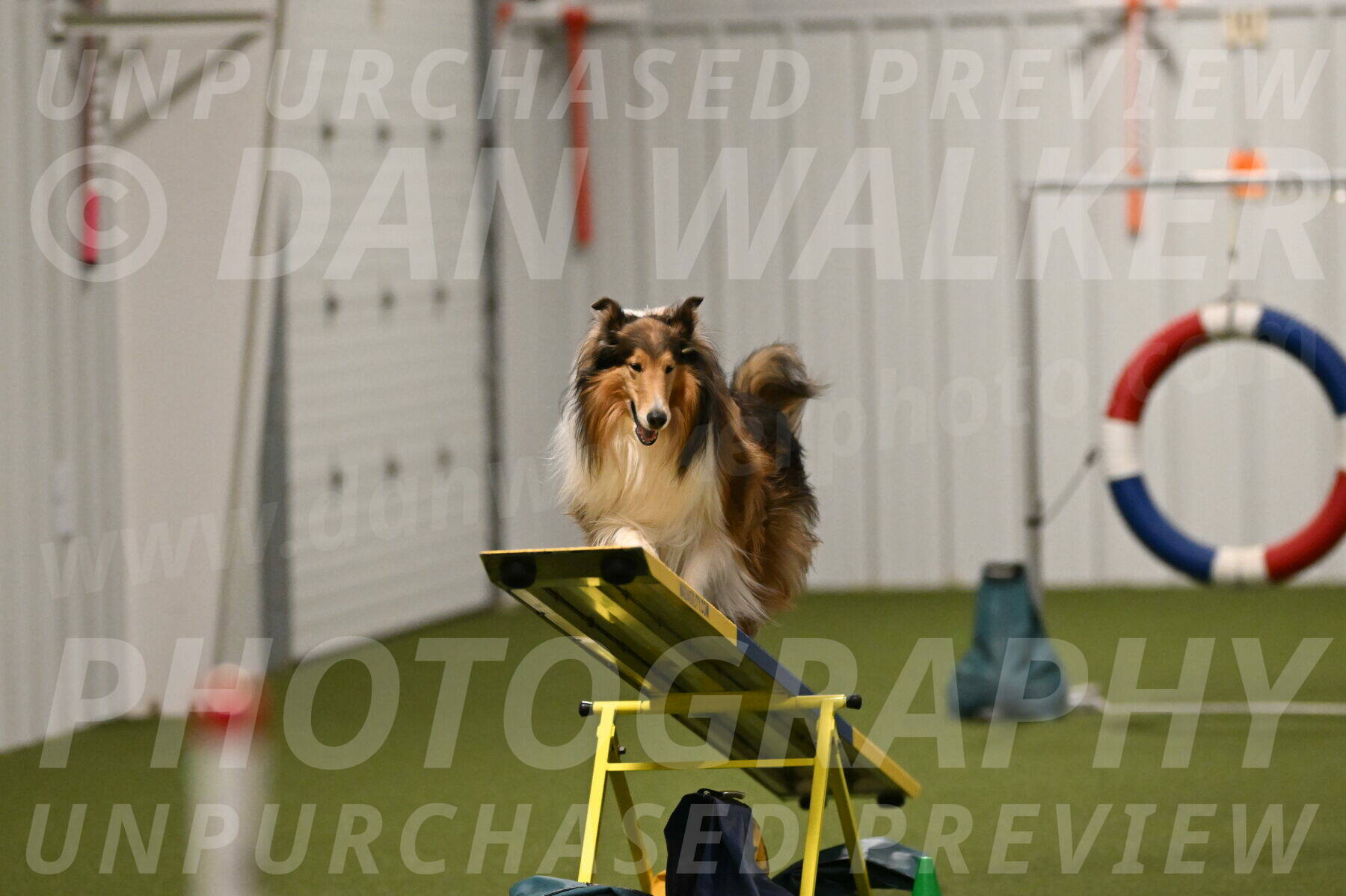 Punch-Carolynne-Rose-04413