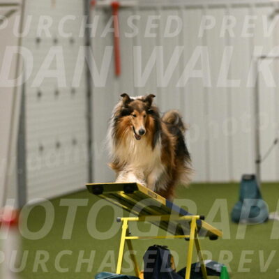 Punch-Carolynne-Rose-04414