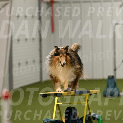 Punch-Carolynne-Rose-04416