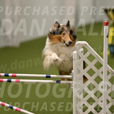 Punch-Carolynne-Rose-04417