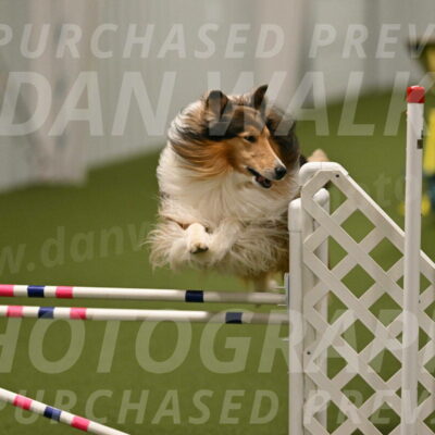 Punch-Carolynne-Rose-04418