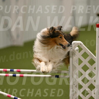 Punch-Carolynne-Rose-04419