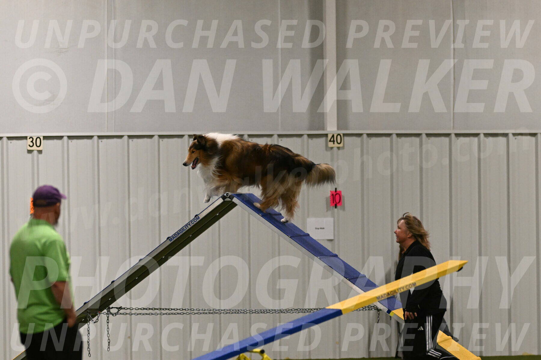 Punch-Carolynne-Rose-04420