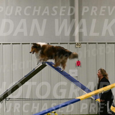 Punch-Carolynne-Rose-04420