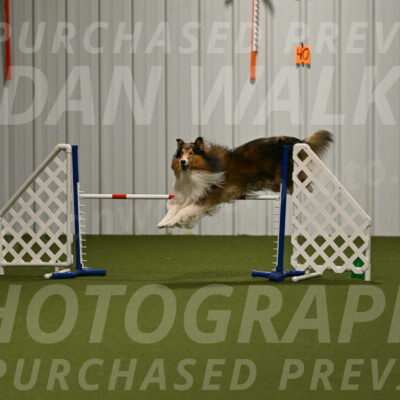 Punch-Carolynne-Rose-04422