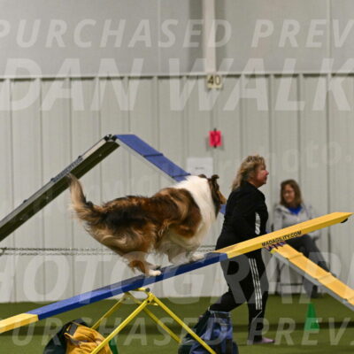 Punch-Carolynne-Rose-04423