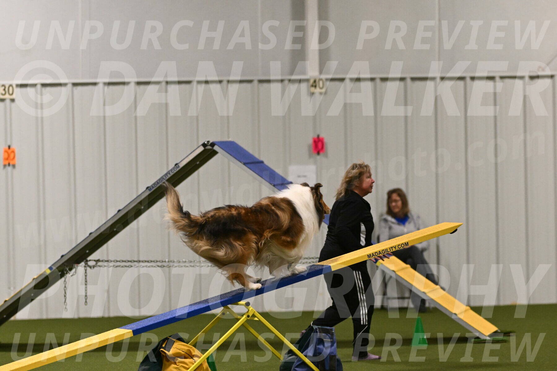 Punch-Carolynne-Rose-04423