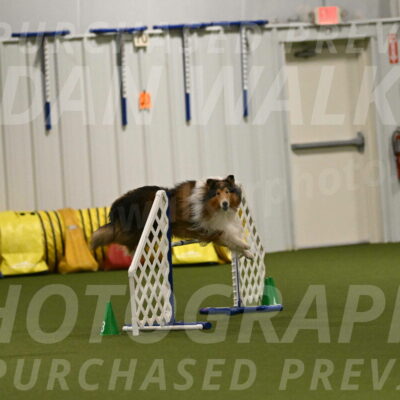 Punch-Carolynne-Rose-04424