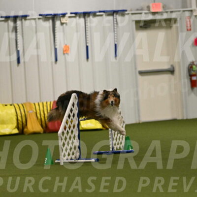 Punch-Carolynne-Rose-04425