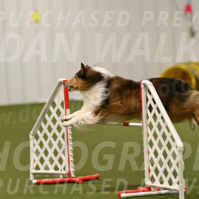 Punch-Carolynne-Rose-04427